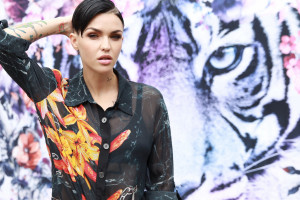 锋线补强！这名苏超新援攻击力爆表，直指联赛冠军！