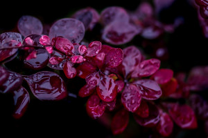 又输了!泰山队主场沦陷,球迷直呼:这样的表现对不起这件球衣! 又输了!泰山队主场沦陷,球迷直呼:这样的表现对不起这件球衣!